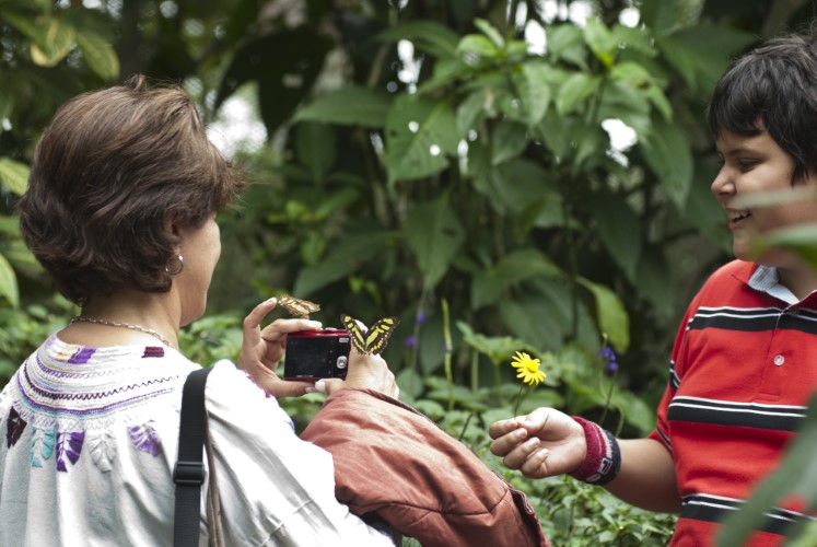Visitantes disfrutan una experiencia de naturaleza en el Eje Cafetero